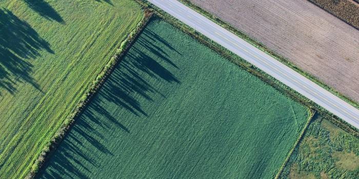 Podział nieruchomości na kilka a opodatkowanie PIT