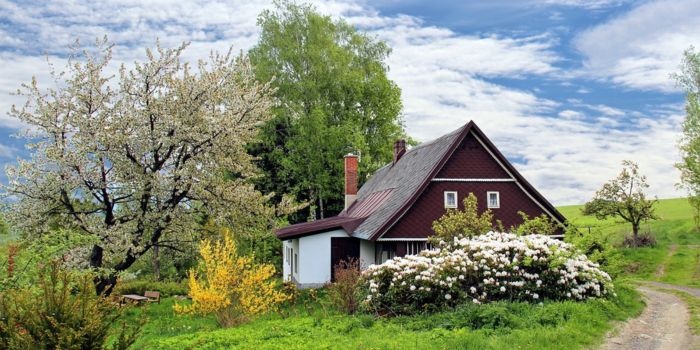 Pracownica Las&oacute;w Państwowych kupiła od Las&oacute;w Państwowych mieszkanie. Cenę kupna pomniejszono o bonifikatę. Fot. Pixabay (zdjęcie ilustracyjne)